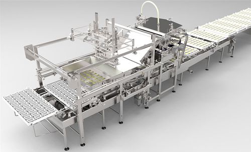 Porzionatrice per formaggio a pasta dura - AFE - Alpma Alpenland Maschinenbau - a pasta molle / meccanica / semiautomatica