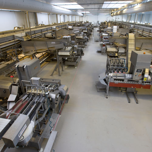 Linea di trasformazione per aringhe - Cabinplant A/S
