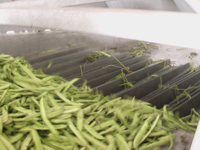 Separatore per fagiolini - Cabinplant A/S - per prodotto sfuso / a tamburo / a spirale