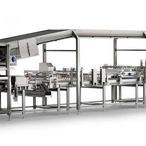 Linea di produzione di torte automatizzata - Gorreri S.r.l.