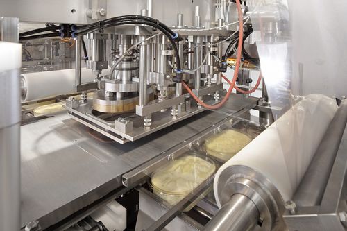 Termosigillatrice in continuo - Robot Food Technologies Germany GmbH - automatica / per l'industria agroalimentare