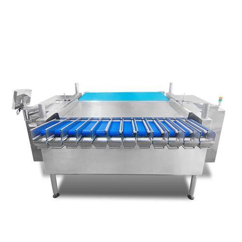 Pesatrice lineare - TY-ZX122M100-01-11 - Zhongshan TO-U Packaging Machinery Co.,Ltd - in continuo / per verdure / automatica