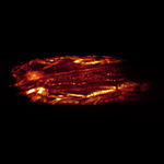 microscopio ottico