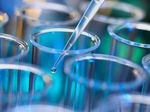 additivo per l'industria plastica