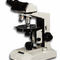 Lenti Polarizzate Vonxyz Per Occhiali SPY - Nero+Argento - Protezione UV E Antigraffio