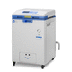autoclave per l'industria agroalimentare / da laboratorio / automatico / verticale
