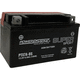 batteria AGM / a blocco / 12 V / ad alte prestazioni