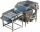 sciacquatrice per frutta / in linea