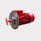 motore asincrono / 380 V / 660 V / per area pericolosa