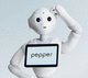 robot per reception autonomo / mobile / con touch screen