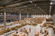 capannone modulare / industriale / di stoccaggio / per la logistica