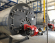 generatore di vapore ad acqua calda / a gas / a combustibile solido / industriale