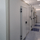 camera fitologica per piante / modulare / walk-in