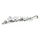 linea di trasformazione per patate / per ortaggi da radice / per piselli / di lavaggio