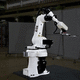 robot articolato / 6 assi / di trasferimento / di manipolazione
