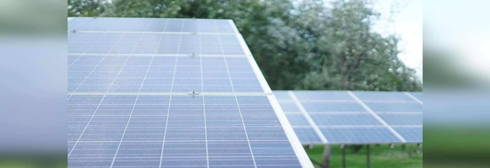 Cosa possono fare gli installatori di pannelli solari in un contesto di prezzi decrescenti?