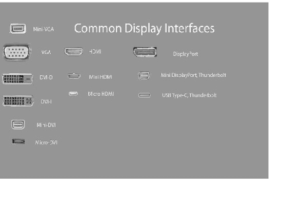 Numerose varietà di porte per monitor