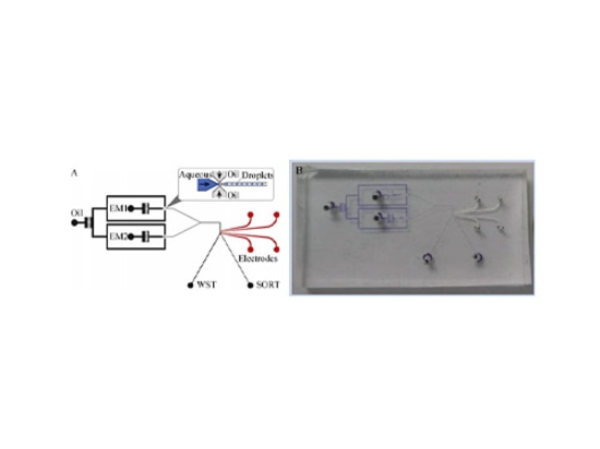 Applicazione dell'amplificatore di potenza nei test di chip microfluidici