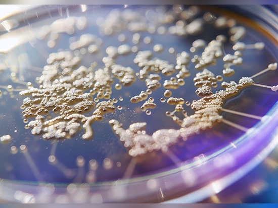 Un importante laboratorio di ricerca universitario utilizza i profilatori ottici Zygo™ per ottenere informazioni più rapide e dettagliate sul biofilm