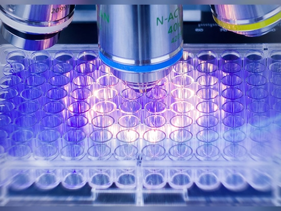 Un importante laboratorio di ricerca universitario utilizza i profilatori ottici Zygo™ per ottenere informazioni più rapide e dettagliate sul biofilm