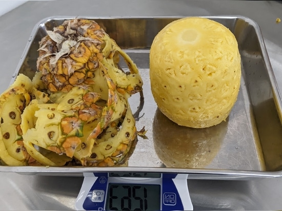Valorizzate il vostro ananas con la serie KA-750PM