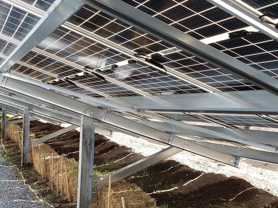 SANERGRID, Solidification Products International Inc. e DISHELEC 65 a Intersolar Monaco di Baviera 2025.