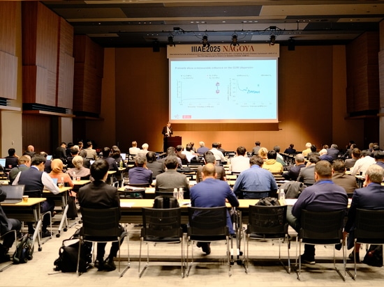 Abbiamo partecipato alla Conferenza Internazionale sull'Emissione Acustica (IIIAE 2025)