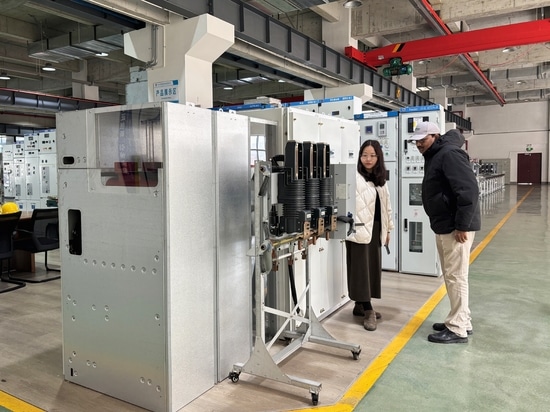 Terza visita del cliente zambiano a Tianan Electric