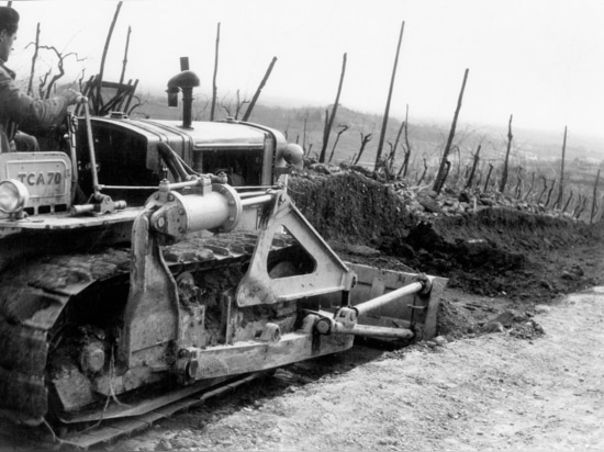 Foto storica dagli archivi della famiglia Azzolin