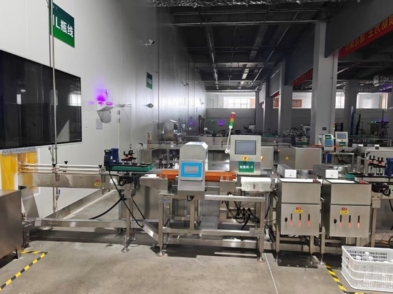Migliorare la sicurezza alimentare e il controllo del peso con la bilancia di controllo CW-3K con metal detector di General Measure