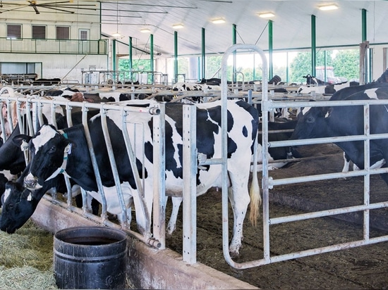 IL AMOB CONSEGNA IL PACCHETTO DELLA PIEGATRICE DEL TUBO DI CNC A LIVESTOCK EQUIPMENT COMPANY