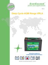 AGM battery DP series