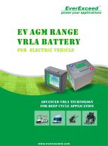 AGM battery EV series