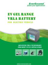 Lead-acid gel battery EV series