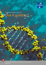 Chiarificazione di DNA Plasmidico - 1