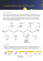 Chiarificazione di Vettori Virali - 2