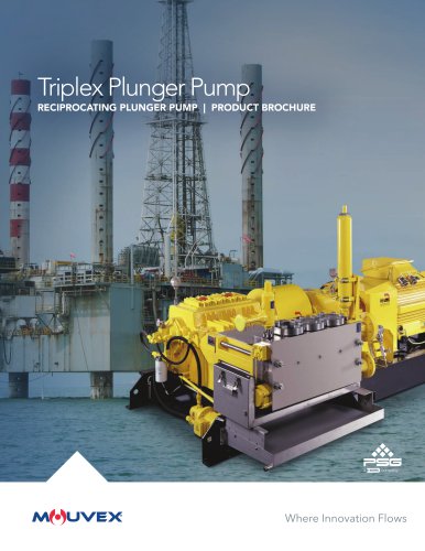 Triplex Plunger Pump