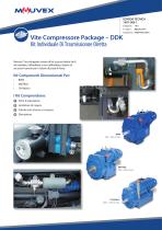 Vite Compressore Package – DDK - 1