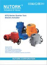 NTQ Electric Actuator