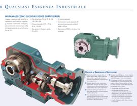 Quantis Motoriduttori e Riduttori - 5