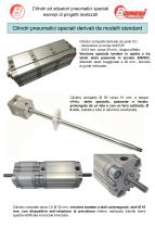 Cilindri speciali derivati dallo standard - 2