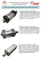 Cilindri speciali derivati dallo standard - 6