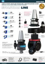 BROCHURE - Teste Angolari-3