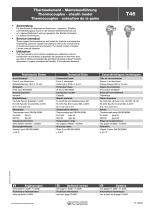 Thermocouples - sheath model T46