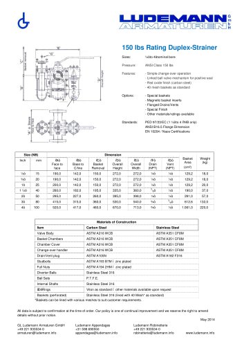 150 lbs Rating Duplex-Strainer