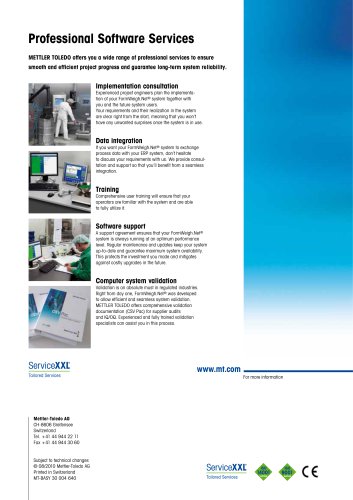 Professional Software Services