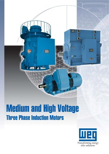 Cast Iron MV Motor