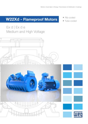 W22Xd - Flameproof Motors