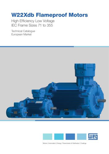 W22Xdb Flameproof Motors