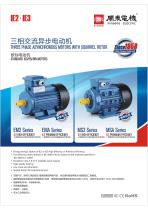 Motore Trifase MSA Series Fujian Mindong Electric Co Ltd Asincrono 220 V 380 V